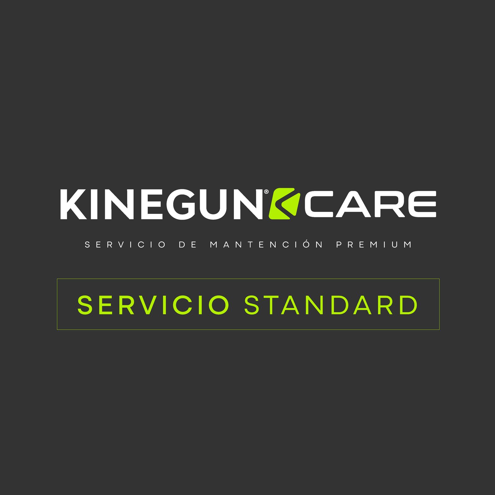 SERVICIO STANDARD
